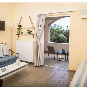 Suite Junior